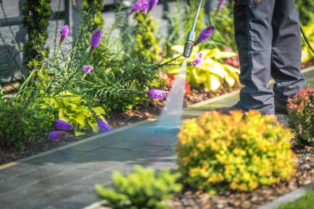 Best Spring Cleaning  in Plainedge, NY