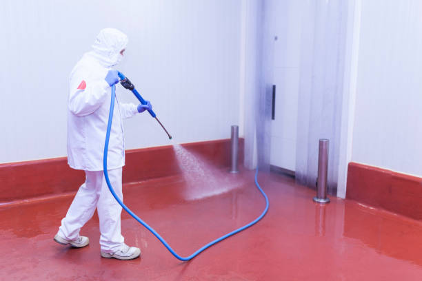 Best Restaurant Pressure Washing  in Plainedge, NY